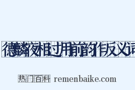 德麟夜相过用前韵作反义词是什么意思的图片